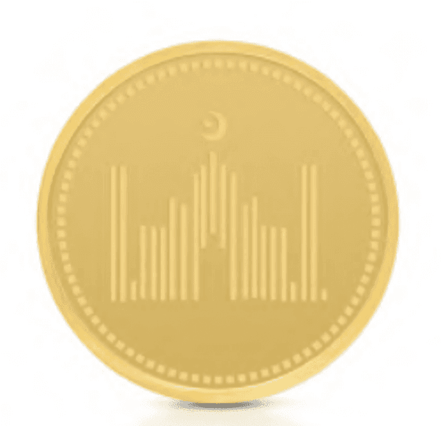 Rafmoah 4g 24K Gold Coin – Random Design